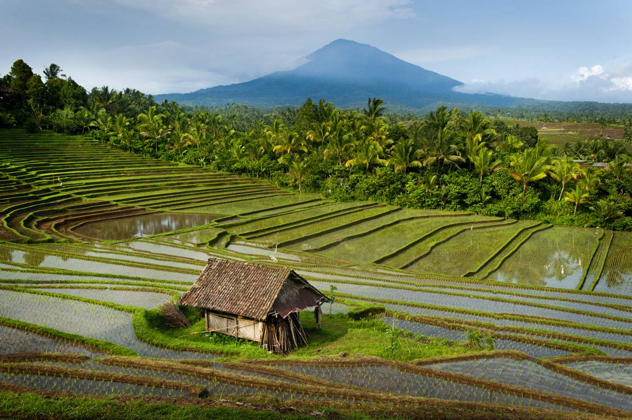 10 REASONS TO VISIT THE WORLD`S BEST ISLAND - BALI - Travel magazine