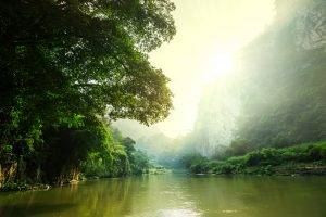 Deep jungle of Northern Laos