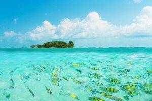 The Louisiade Islands