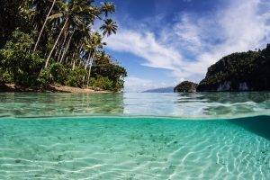 Papua New Guinean marine landscape
