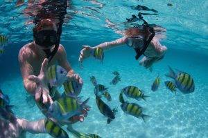 Louisiade Islands, snorkelling