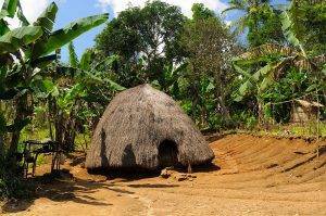 Traditional Timorese hut