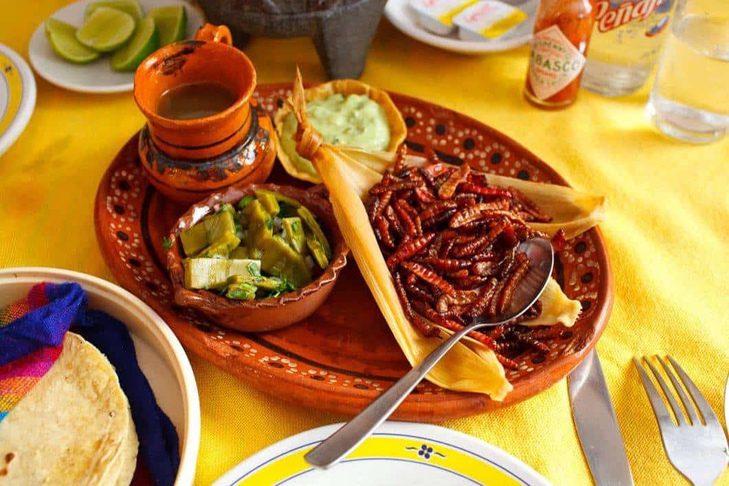 Chapulines – a nutritious grasshopper meal in Mexico