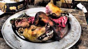 Kill Your Own Dinner - Dog Heads, Sa Pa, Vietnam