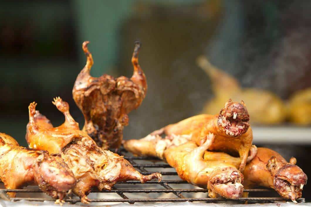 Roasted rats, a quick meal in Northern Laos