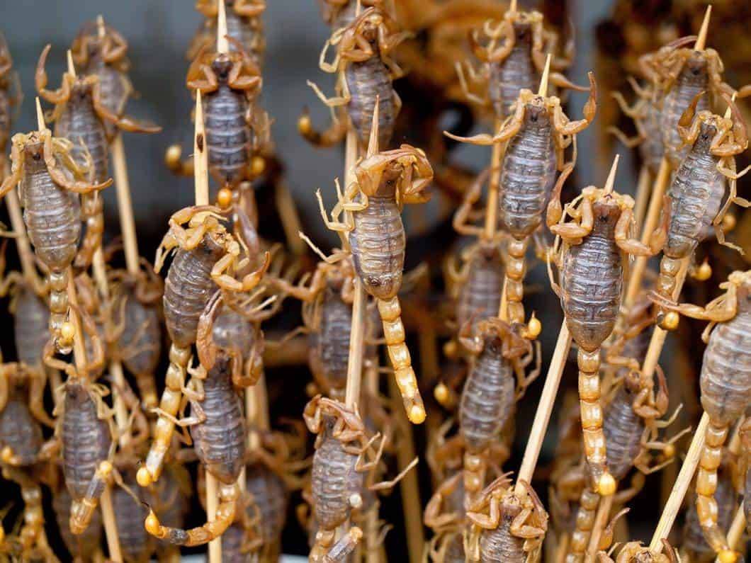 Skewered Scorpions, Bangkok street markets, Thailand