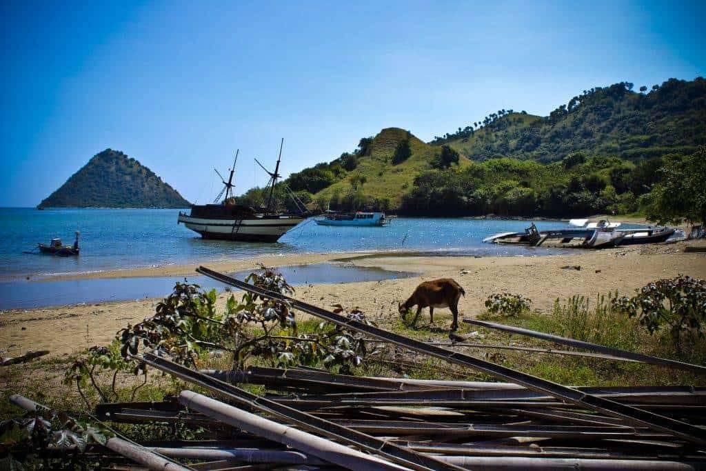 10 THINGS TO DO IN LABUAN BAJO - Travel magazine for a curious