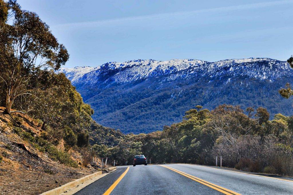 "The picturesque Alpine Way winding through the Snowy Mountains, offering breathtaking views and wildlife sightings."