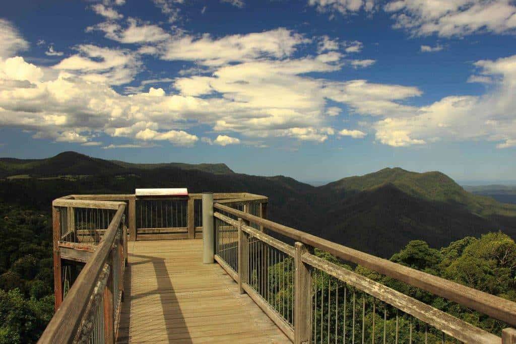  "The Skyway Lookout in Dorrigo National Park, offering a panoramic view of the Gondwana Rainforest."