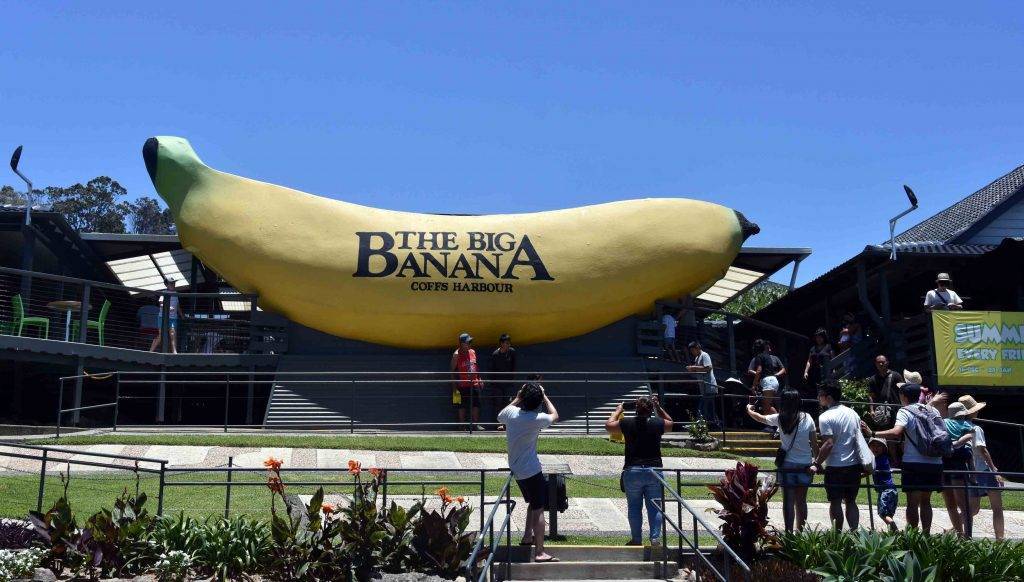  "The famous Big Banana monument in Coffs Harbour, symbolizing the region's subtropical fruit production."