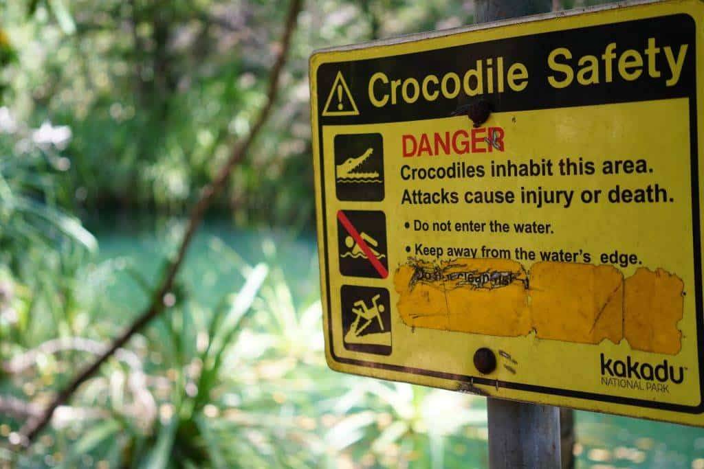 "Informative crocodile warning sign, a common sight in Darwin."