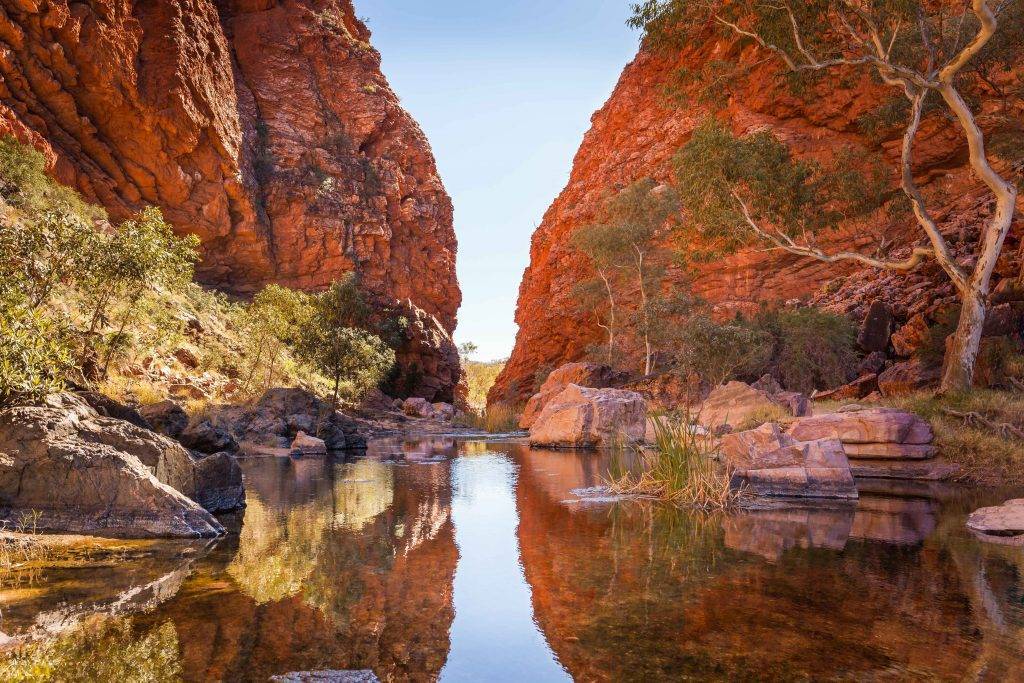 "The rugged beauty of Simpson Gap along the Larapinta Trail."