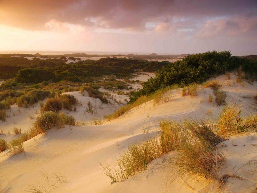 "The expansive Henty Dunes near Strahan, a popular spot for sand tobogganing."
