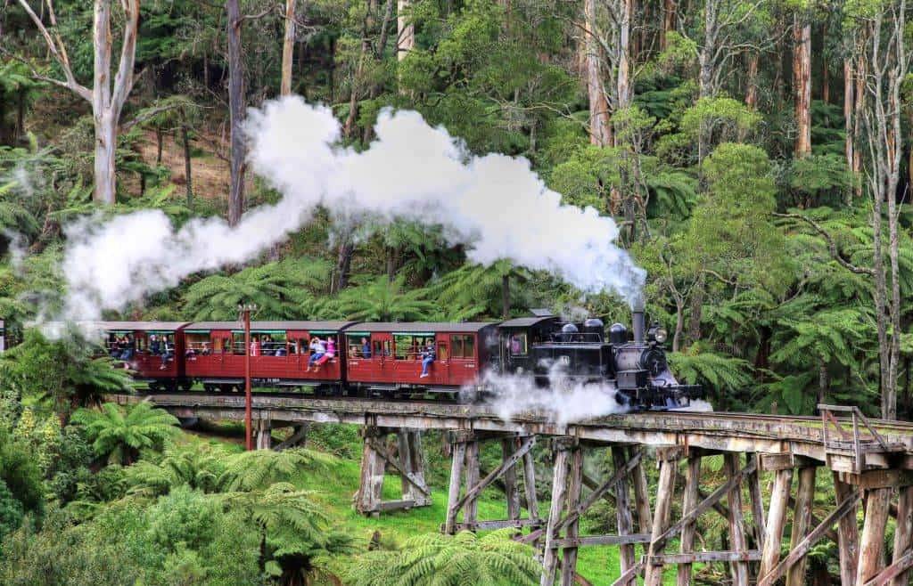  "The historic Puffing Billy steam train journeying through the lush Dandenong Ranges."
