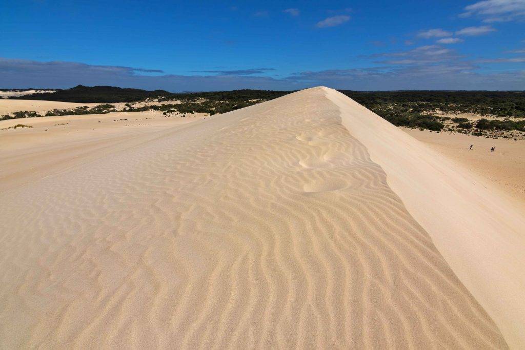 "Exhilarating scene of sand-boarding at Little Sahara on Kangaroo Island, a hub of adventure and fun."