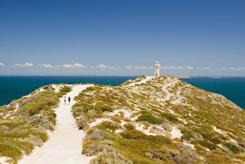 Stunning view of Cape Spencer near Marion Bay in Yorke Peninsula, featuring rugged cliffs and coastal beauty.