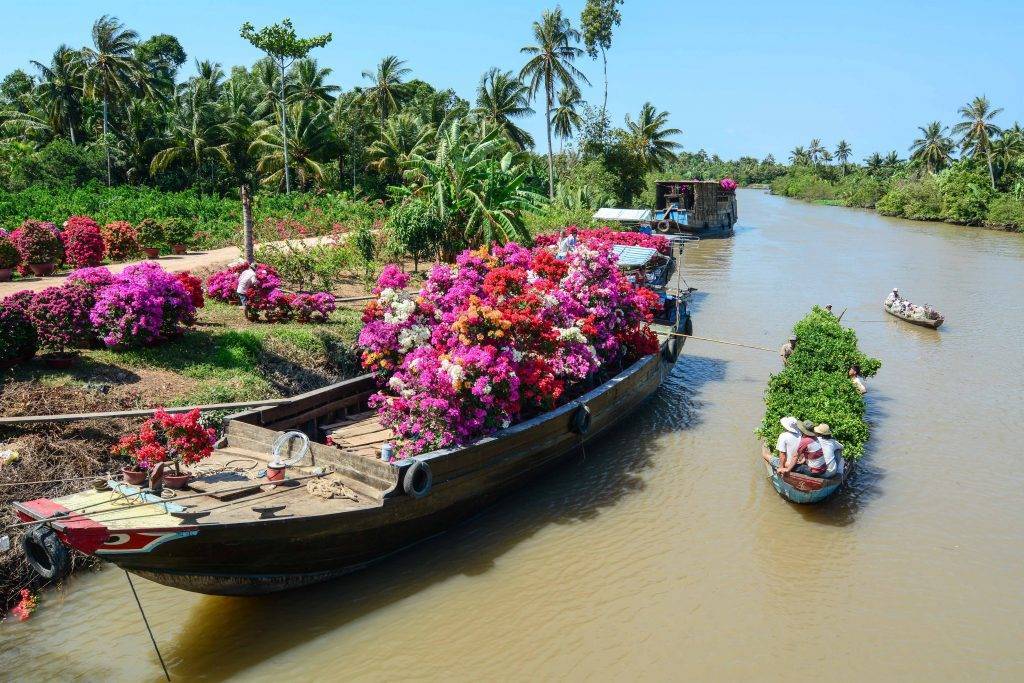 THE TIMELESS CHARM OF MEKONG DELTA - Travelmarbles