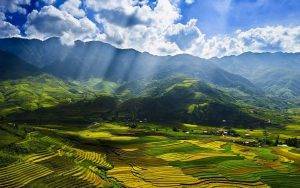 Lao Chai Province, rice fields