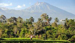 Rinjani National Park