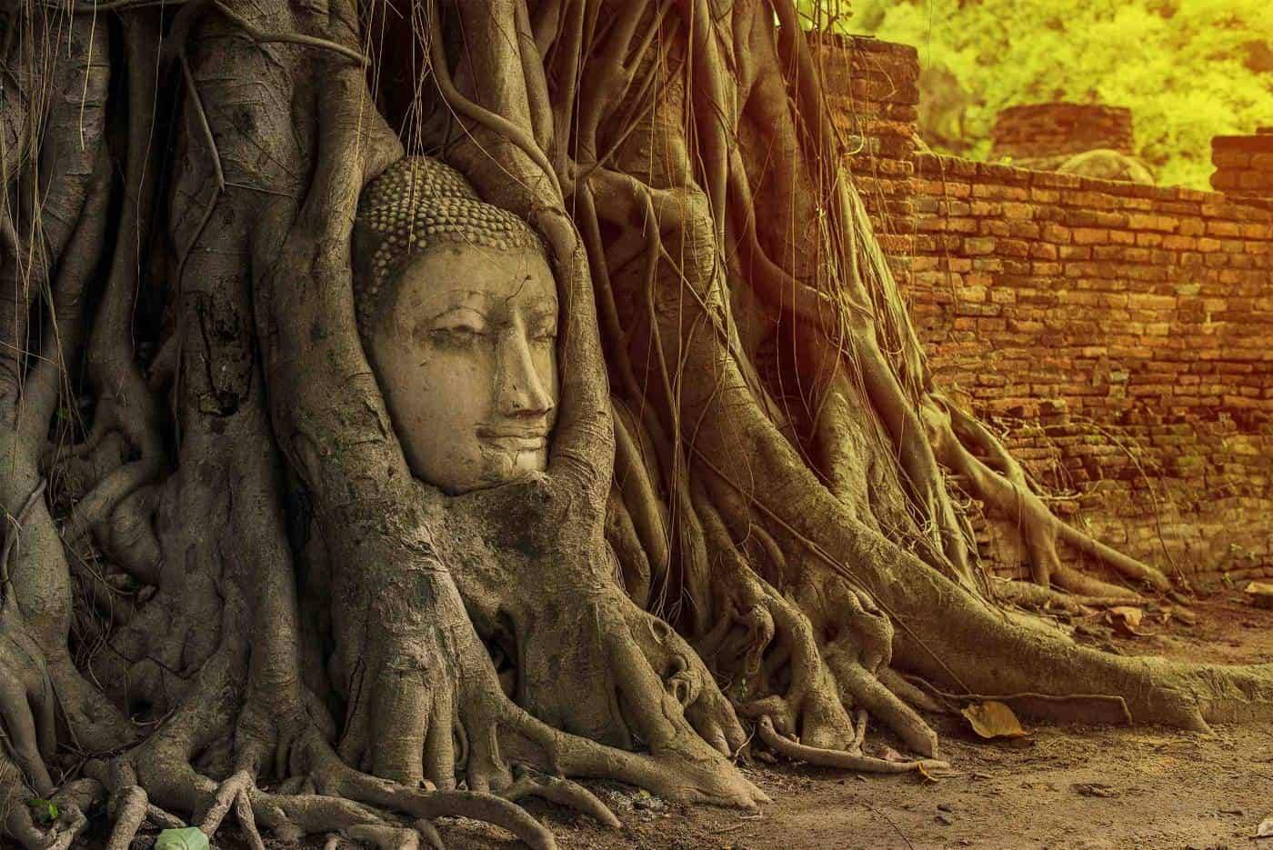 DISCOVER AYUTTHAYA – A SHOWPIECE OF SIAM