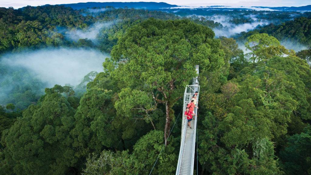 TOP 15 NATURAL ATTRACTIONS IN BRUNEI