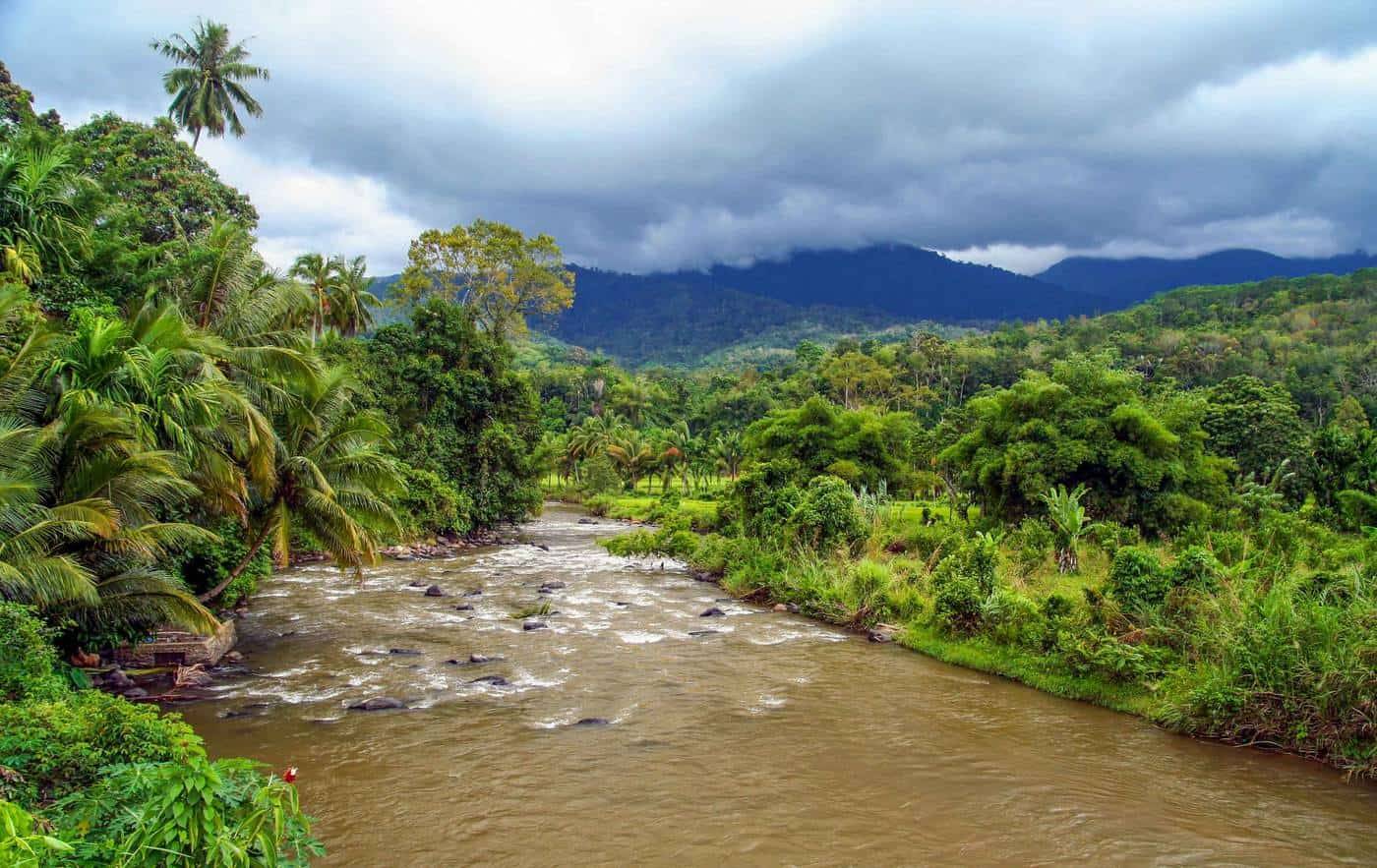 BUKIT BARISAN – THE TROPICAL RAINFOREST HERITAGE OF SUMATRA