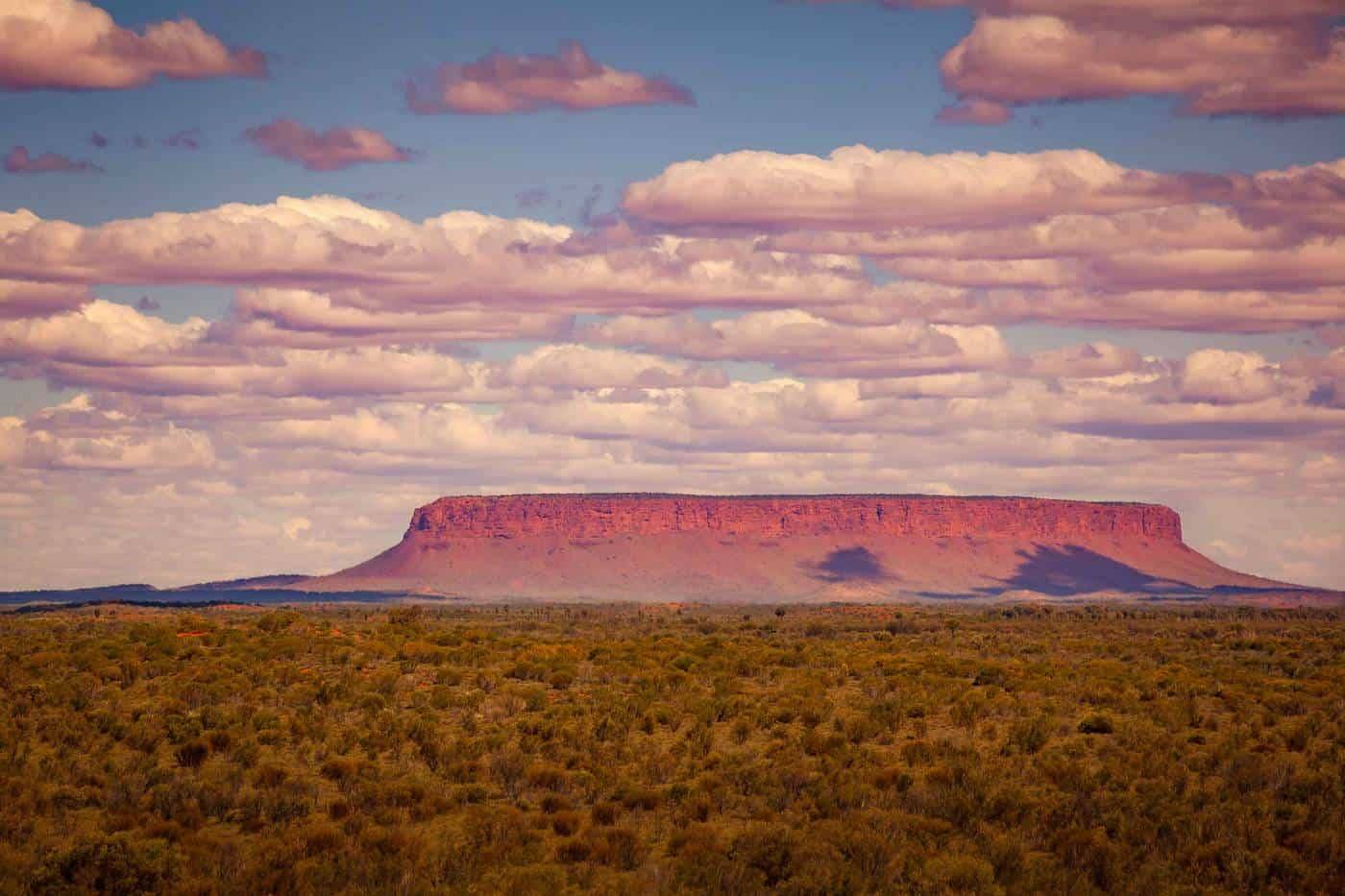 THE RED CENTRE